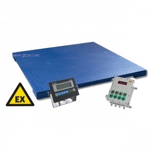防爆平臺(tái)秤(300kg-10t)