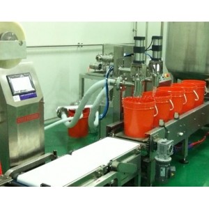 自動稱重灌裝線20L雙噴嘴+壓蓋機(jī)