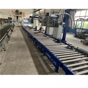 200L自動(dòng)輸送線 農(nóng)藥輸送線自動(dòng)稱重設(shè)備