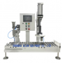 Fully Automatic Plant Nutrient Solution Pails Weighing Filling Machine for 5-30L